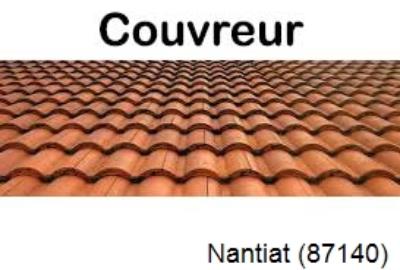 Toiture réparation à Nantiat-87140