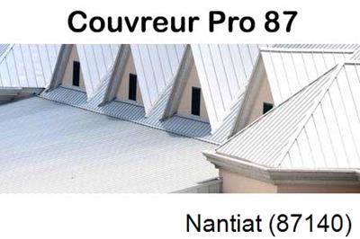 Entreprise de zinguerie à Nantiat-87140