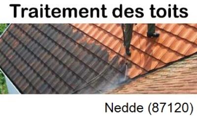 Démoussage sur toiture ardoise et tuile Nedde-87120