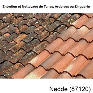 Nettoyage toiture à Nedde-87120