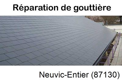 Travaux rénovation gouttière Neuvic-Entier-87130