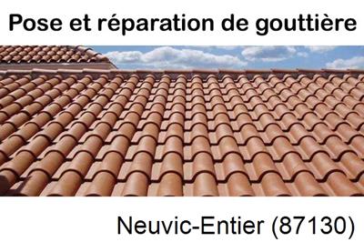 gouttière à Neuvic-Entier-87130