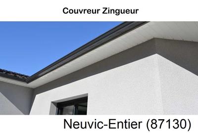 Toiture réparation, nettoyage gouttière Neuvic-Entier-87130