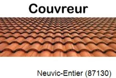 Toiture réparation à Neuvic-Entier-87130