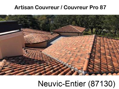 Votre couvreur dans le 87 pour la réparation de votre couverture à Neuvic-Entier-87130