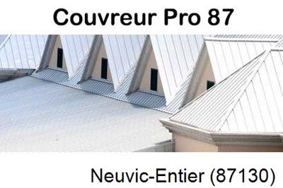 Entreprise de zinguerie à Neuvic-Entier-87130