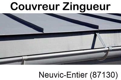 Photo toiture zinc Neuvic-Entier-87130