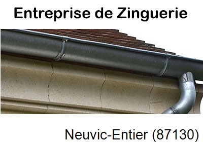 Artisan couvreur zingueur Neuvic-Entier-87130