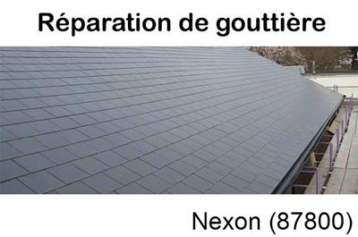 Travaux rénovation gouttière Nexon-87800