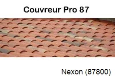 Artisan couvreur à la recherche d'une fuite Nexon-87800