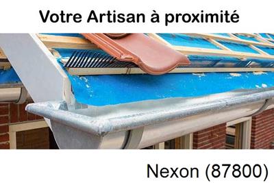 Toiture neuve en zinc Nexon-87800