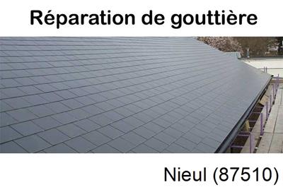 Travaux rénovation gouttière Nieul-87510