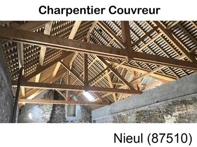 Votre charpentier, travaux de charpente Nieul-87510