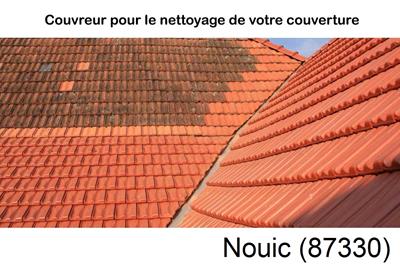 Entreprise de couverture à Nouic-87330