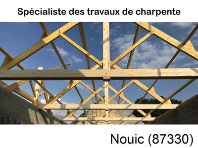 charpentier en neuf à Nouic-87330
