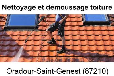 Artisan couvreur propose anti-mousse à Oradour-Saint-Genest-87210