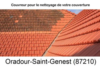 Entreprise de couverture à Oradour-Saint-Genest-87210