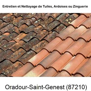 Nettoyage toiture à Oradour-Saint-Genest-87210