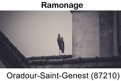 Votre couvreur pour un ramonage Oradour-Saint-Genest-87210