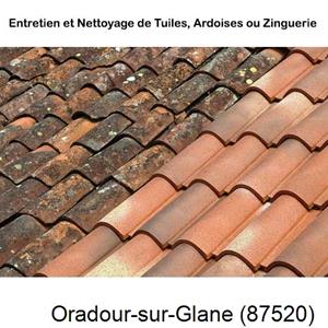 Nettoyage toiture à Oradour-sur-Glane-87520