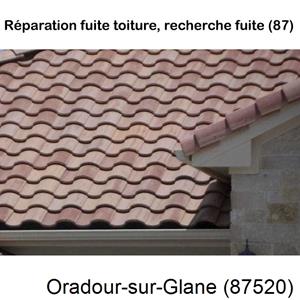 Votre couvreur pour la réparation des toits Oradour-sur-Glane-87520