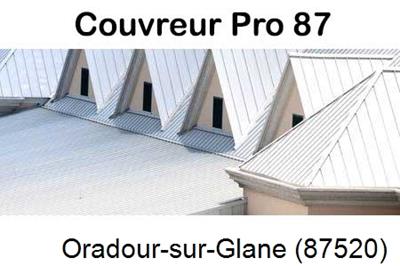 Entreprise de zinguerie à Oradour-sur-Glane-87520