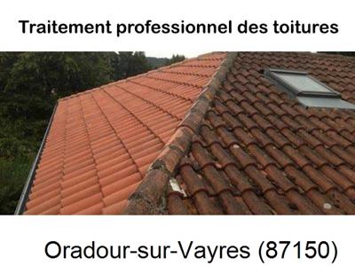 Couvreur pro 87 sur Oradour-sur-Vayres-87150