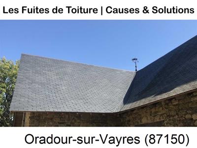 Travaux rénovation toiture à Oradour-sur-Vayres-87150