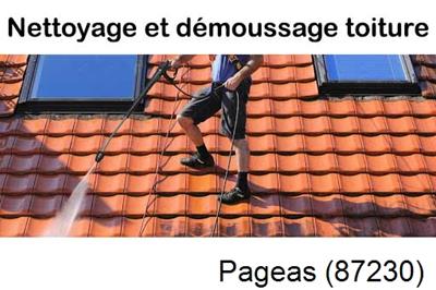 Artisan couvreur propose anti-mousse à Pageas-87230