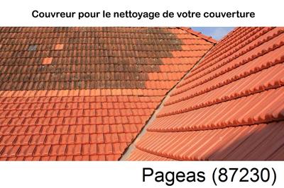 Entreprise de couverture à Pageas-87230