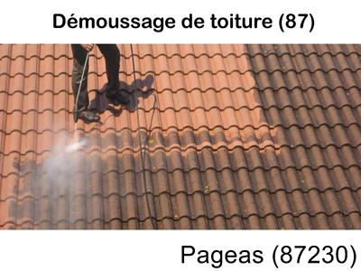 Toiture démoussage Pageas-87230