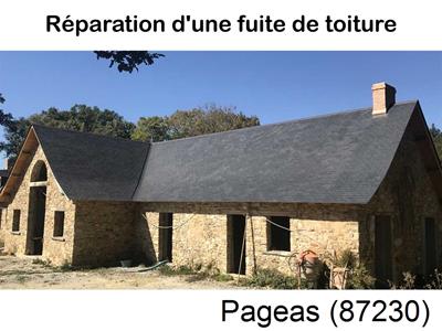 Artisan couvreur à la recherche d'une fuite Pageas-87230