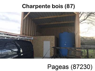 charpente traditionnelle à Pageas-87230