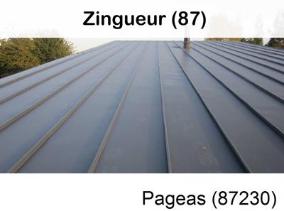 Votre zingueur en image à Pageas-87230