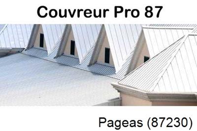 Entreprise de zinguerie à Pageas-87230