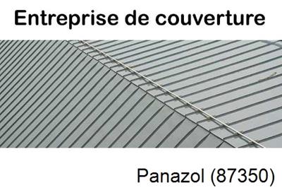 Toiture neuve en zinc Panazol-87350