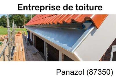 Photo toiture zinc Panazol-87350