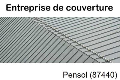 Couvreur pro 87 Pensol-87440