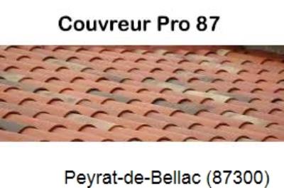 Réparation fuite à Peyrat-de-Bellac-87300