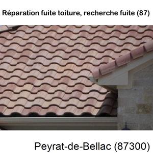 Votre couvreur pour la réparation des toits Peyrat-de-Bellac-87300