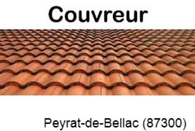 Toiture réparation à Peyrat-de-Bellac-87300