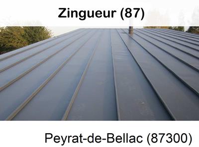 Votre zingueur en image à Peyrat-de-Bellac-87300