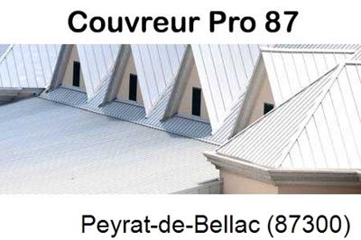 Entreprise de zinguerie à Peyrat-de-Bellac-87300