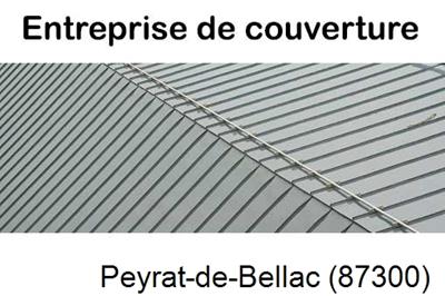 Couvreur pro 87 Peyrat-de-Bellac-87300