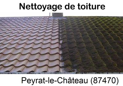 Entreprise de démoussage à Peyrat-le-Château-87470