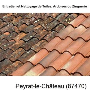 Nettoyage toiture à Peyrat-le-Château-87470