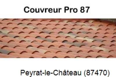 Réparation fuite à Peyrat-le-Château-87470