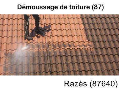 Toiture démoussage Razès-87640