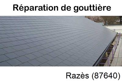 Travaux rénovation gouttière 