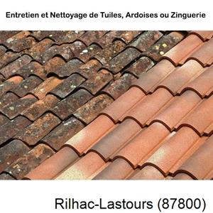 Nettoyage toiture à Rilhac-Lastours-87800